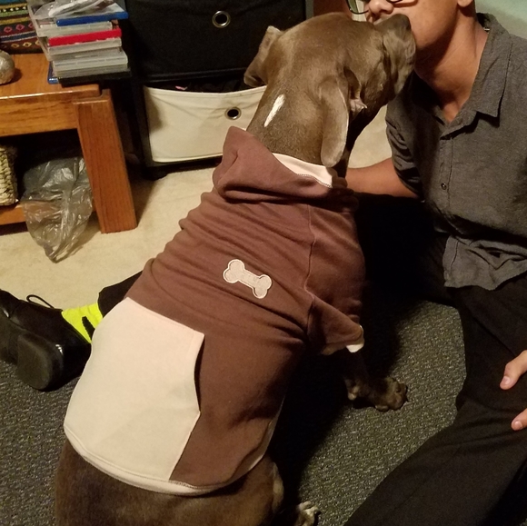 Dog hoodie - Picture 8 of 8